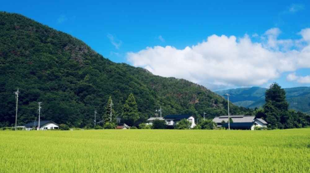 田舎の風景